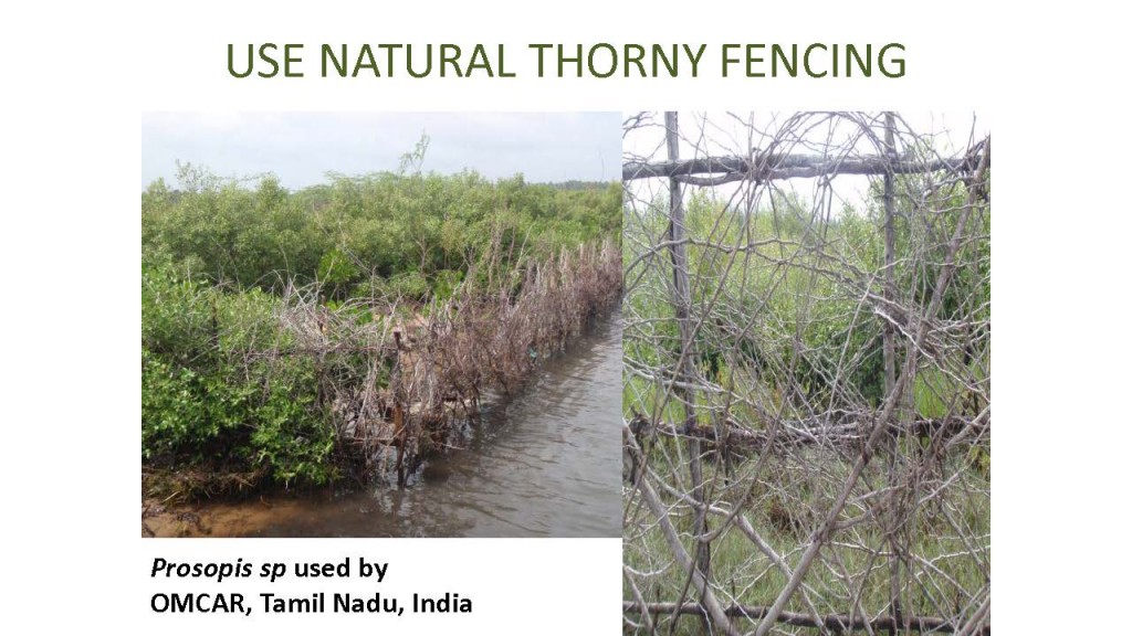USE NATURAL THORNY FENCING