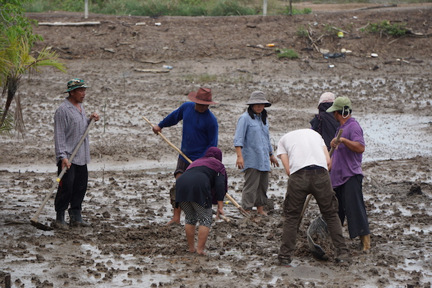 Bastian (in white) filming the preparation and planting of a few nipa palm seedlings on the EPIC project site.