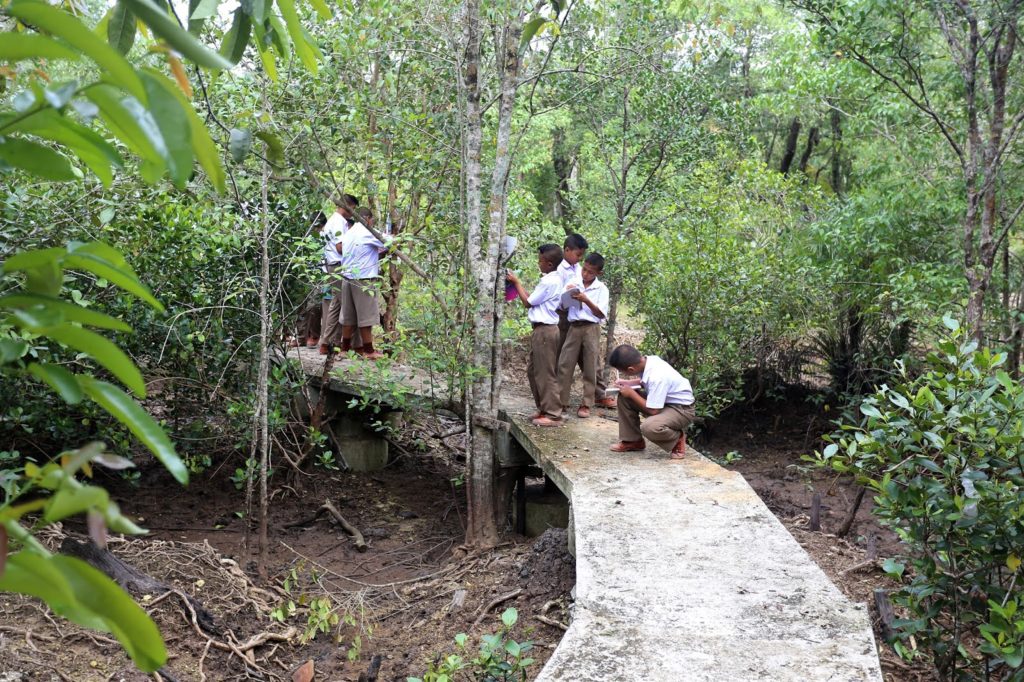Students from the area enjoying the new nature trail